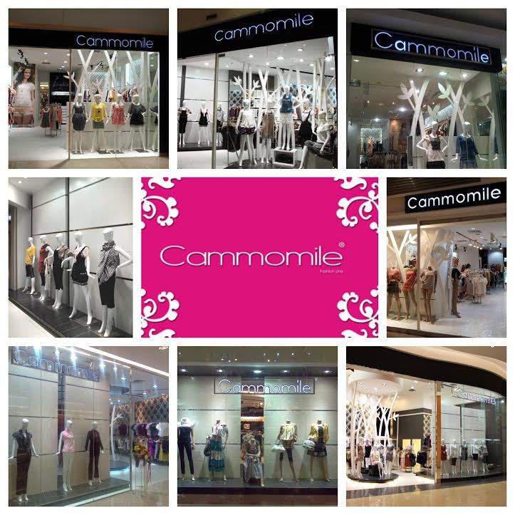 Cammomile 2505004